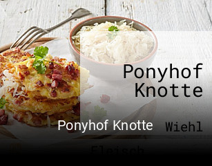 Ponyhof Knotte
