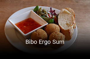 Bibo Ergo Sum