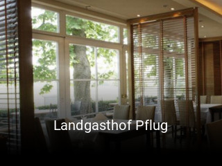 Landgasthof Pflug