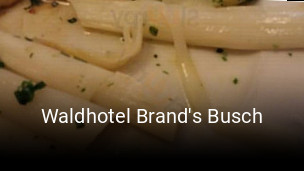 Waldhotel Brand's Busch