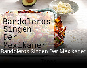 Bandoleros Singen Der Mexikaner